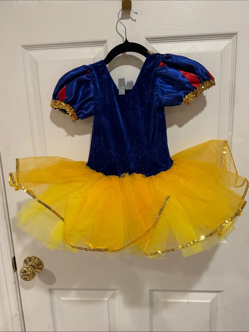 A Wish Come True “Enchanted” intermediate child dance costume